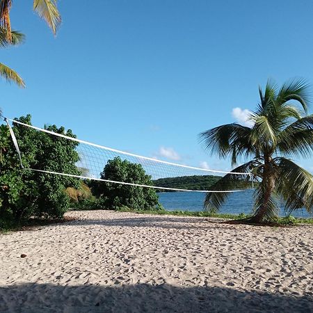Studio 4 Casiguaya With Garden Access Vieques Dış mekan fotoğraf