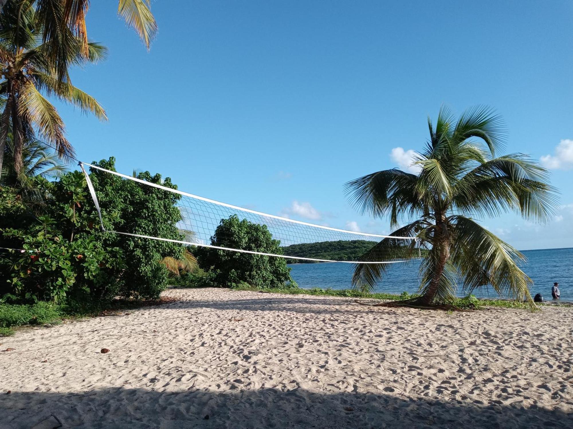 Studio 4 Casiguaya With Garden Access Vieques Dış mekan fotoğraf